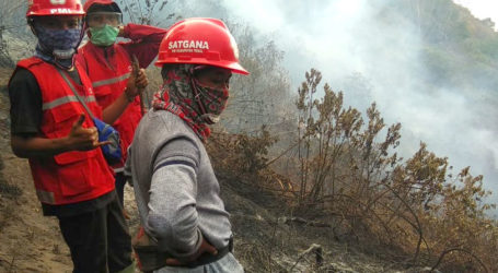 Kebakaran Hutan Lindung di Gunung Slamet Wilayah Brebes Padam