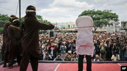 Qanun Satwa Dilindungi di Aceh, “Tambahan Hukuman 100 Kali Cambuk Bagi Pelaku Kejahatan Satwa”