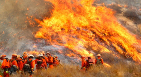 Kebakaran Hutan Masih Mengancam di Los Angeles