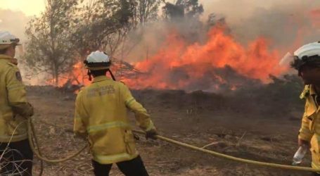 Petugas Damkar Australia Padamkan Kebakaran Hutan