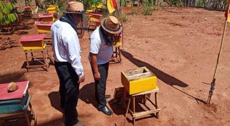 BAZNAS Resmikan Program Pemberdayaan Lebah Madu di Gunung Kidul