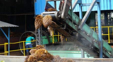 Peru Ingin Belajar Industri Minyak Sawit Dari Indonesia