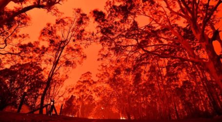 Kerusakan dan Kehancuran Signifikan Akibat Kebakaran Hutan di Australia