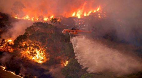 PM New South Wales: Korban Akibat Kebakaran Hutan Bertambah