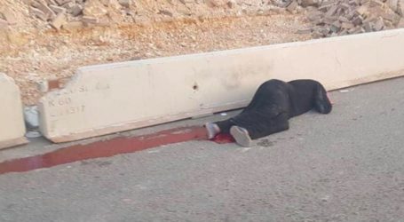 Kenangan Terburuk 2019: Ibu Palestina Dibunuh Dekat Pos Pemeriksaan