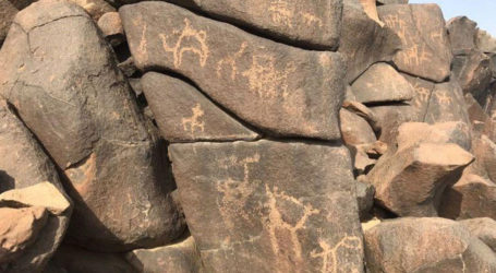 Penelitian Seni Kuno Ungkap Singa Pernah Hidup di Tanah Prasejarah Saudi