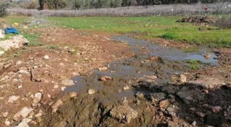 Sudah Dua Pekan, Air Limbah Yahudi Banjiri Pertanian Palestina