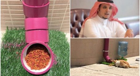 Pencinta-Pencinta  Binatang di Saudi Inisiatif Beri Makan Kucing Liar Di Masa Epidemi