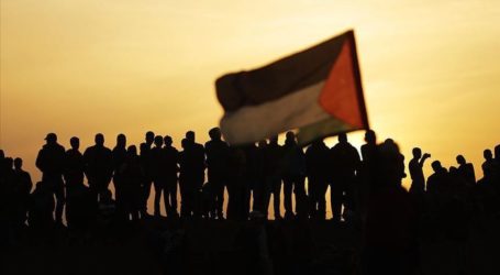 Populasi Palestina Meningkat 9 Kali Lipat Sejak Nakba