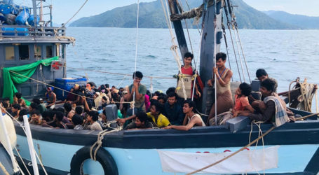 Pengungsi Rohingya Ditemukan Bersembunyi di Semak-Semak dekat Pulau Langkawi