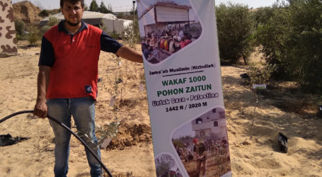 Relawan Indonesia Tanam 700 Pohon Zaitun Lagi untuk Warga Gaza
