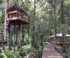 IRI Terus Gencarkan Gerakan Selamatkan Hutan Tropis Indonesia