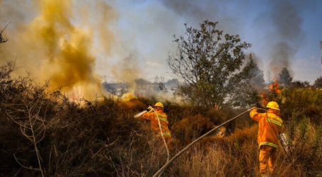 Kebakaran Hutan di Aljazair Tewaskan 42 Orang Termasuk 25 Tentara