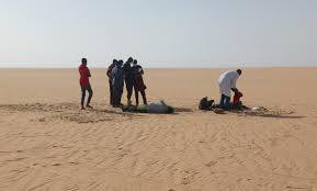 Aljazair Usir Ribuan Migran ke Niger