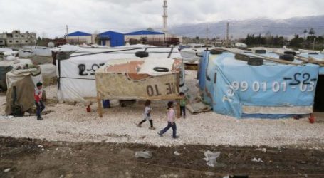 Badan Amal Turki Berikan Bantuan Untuk Pengungsi Palestina di Lebanon