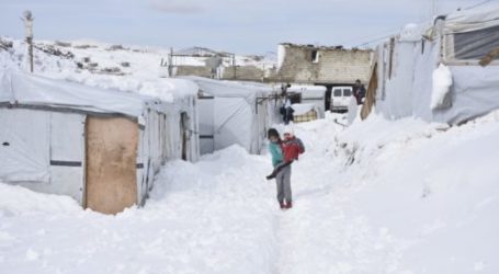 UNHCR: Kamp Pengungsian Suriah di Lebanon Terbakar, Ratusan Pengungsi Melarikan Diri
