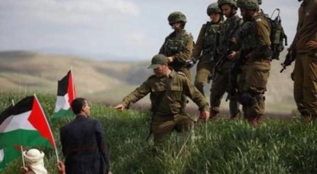 Acara Tanam Pohon Zaitun di Nablus Digagalkan Pasukan Pendudukan Israel
