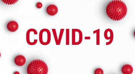Update Covid-19 Indonesia 14/1, 353 Pasien Sembuh dan 850 Orang Positif