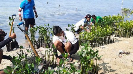 Sebanyak 1.000 Bibit Mangrove Ditanam di Pulau Tidung Kecil