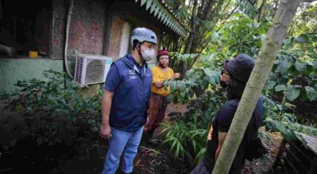 Peringati Hari Lingkungan Hidup Sedunia, Anies Tanam Bambu Bersama Pegiat Lingkungan