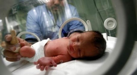Jumlah Kelahiran Bayi di Gaza Capai 3.446 Selama Bulan Mei