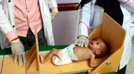 WHO: 17,8 Juta Warga Yaman Butuh Bantuan Kesehatan