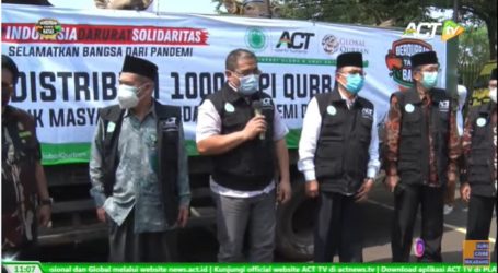 Seribu Sapi Kurban untuk Masyarakat Terdampak Pandemi di Jawa-Bali