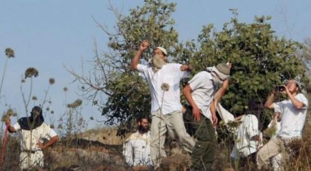 Pemukim Yahudi Serang Petani Palestina dan Anaknya