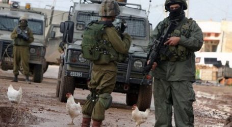 Israel Gusur Tiga Kandang Ternak Milik Warga Palestina