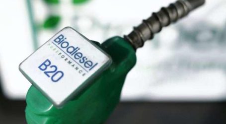 LPEM FEB UI: Kebijakan Biodiesel Dapat Berdampak pada Neraca Perdagangan