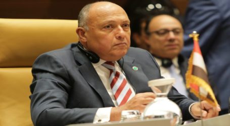 Sidang Liga Arab: Mesir Tegaskan Dukungannya  untuk Palestina