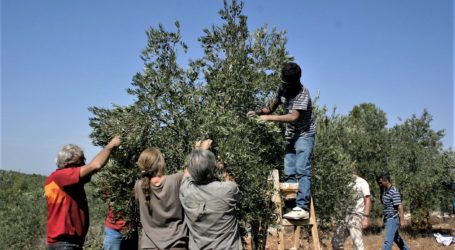 Para Aktivis Palestina Berkampanye Dukung Petani yang Terancam Pemukim Israel