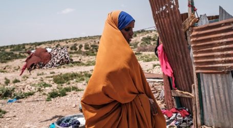 PBB: Kekeringan Somalia Memburuk dengan Cepat