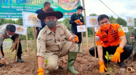 Meriahkan HUT ke-50, Basarnas Lampung Tanam Pohon Mangrove