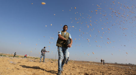 Menyimpan Benih, Menghitung Sapi, Apakah Kerja Kelompok “Teror”? (Oleh Rami Almeghari, Gaza)