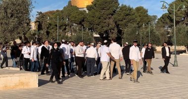 Puluhan Pemukim Yahudi Lakukan Ritual di Al-Aqsa