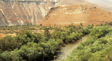 Israel Ubah Cagar Alam di Lembah Yordan Jadi Permukiman Yahudi