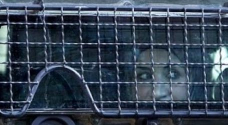 Hari Perempuan Internasional, 32 Pejuang Wanita Palestina Masih di Penjara Israel