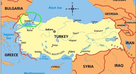 Turki Komitmen Normalkan Jalur Perdaganngan Gandum di Laut Hitam
