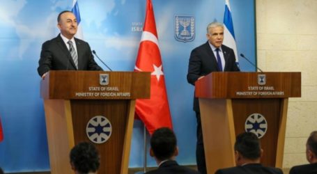 Turki dan Israel Sepakat Normalisasi, Revitalisasi