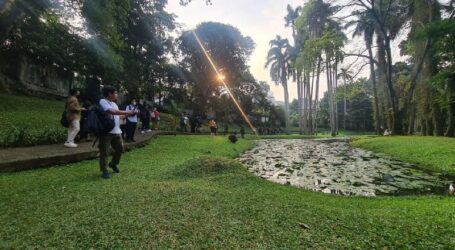 Cities4Forests Dukung Pemerintah DKI Terapkan Solusi Berbasis Alam untuk RTH Jakarta