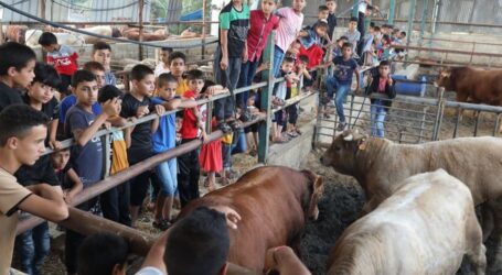Idul Adha, Perayaan Sukacita Warga Gaza di Tengah Blokade Israel