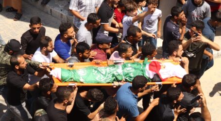 Sebanyak 29 Anak Palestina Gugur Ditembak Israel Tahun Ini