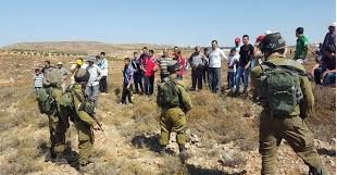 Tentara Israel Serang Petani Palestina Saat Bekerja di Ladang