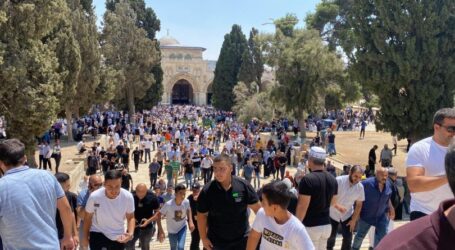 50.000 Jamaah Hadiri Shalat Jumat di Al-Aqsa