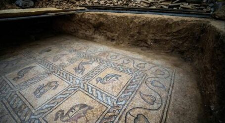 Petani Gaza Temukan Harta Karun, Arkeolog Perkirakan sejak Abad ke-5 M