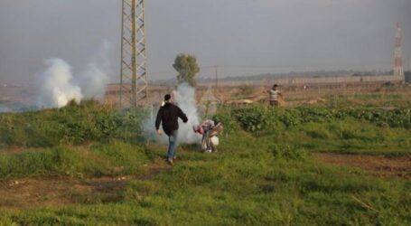 Pasukan Israel Serang Pemburu Burung di Gaza