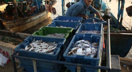 Israel Larang Pengiriman Produk Makanan Laut dari Gaza ke Tepi Barat