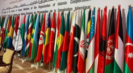 OKI dan Liga Arab Bahas Situasi Terkini di Sudan