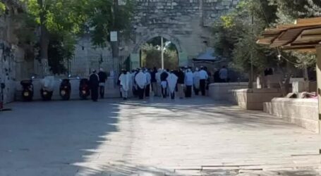 Pemukim Yahudi Lakukan Ritual Provokatif Talmud di Masjid Al Aqsa